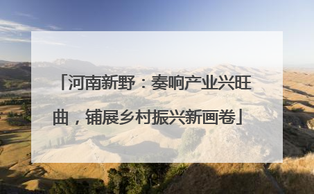 河南新野：奏响产业兴旺曲，铺展乡村振兴新画卷