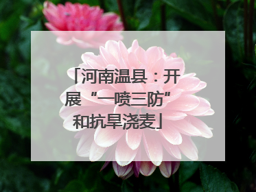 河南温县：开展“一喷三防”和抗旱浇麦