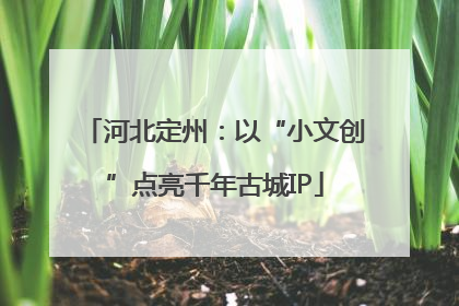 河北定州：以“小文创”点亮千年古城IP