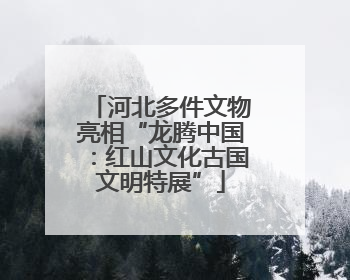 河北多件文物亮相“龙腾中国：红山文化古国文明特展”