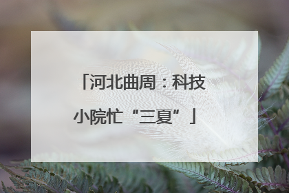 河北曲周：科技小院忙“三夏”