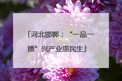 河北邯郸：“一品一播”兴产业惠民生