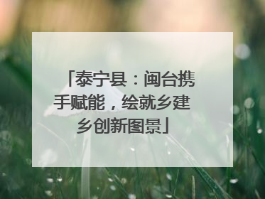 泰宁县：闽台携手赋能，绘就乡建乡创新图景