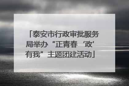 泰安市行政审批服务局举办“正青春‘政’有我”主题团建活动