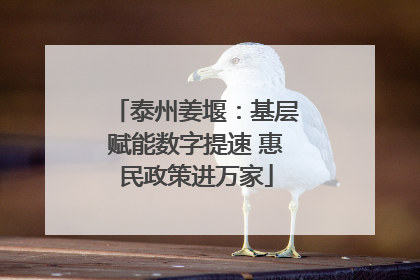 泰州姜堰：基层赋能数字提速 惠民政策进万家