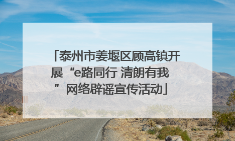 泰州市姜堰区顾高镇开展“e路同行 清朗有我”网络辟谣宣传活动