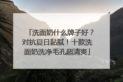 洗面奶什么牌子好？对抗夏日黏腻！十款洗面奶洗净毛孔超清爽