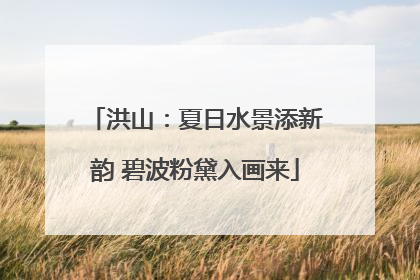 洪山：夏日水景添新韵 碧波粉黛入画来