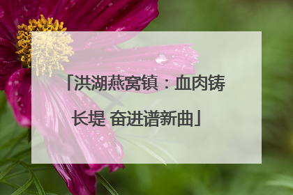 洪湖燕窝镇：血肉铸长堤 奋进谱新曲