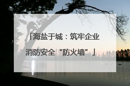 海盐于城：筑牢企业消防安全“防火墙”