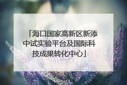 海口国家高新区新添中试实验平台及国际科技成果转化中心