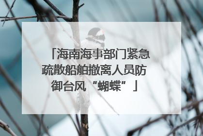海南海事部门紧急疏散船舶撤离人员防御台风“蝴蝶”