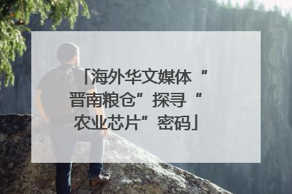 海外华文媒体“晋南粮仓”探寻“农业芯片”密码