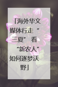 海外华文媒体行走“三夏” 看“新农人”如何逐梦沃野