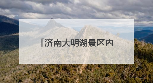 济南大明湖景区内惊现双色莲，游客直呼“好运莲莲”