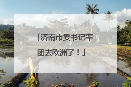 济南市委书记率团去欧洲了！