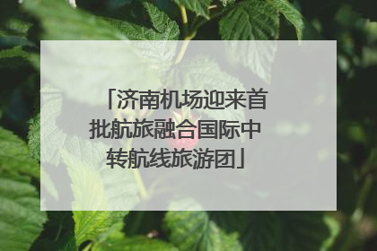 济南机场迎来首批航旅融合国际中转航线旅游团