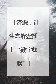 济源：让生态蜂蜜插上“数字翅膀”