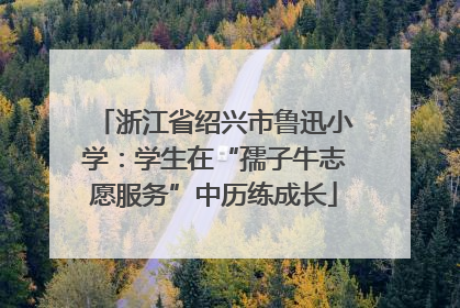浙江省绍兴市鲁迅小学：学生在“孺子牛志愿服务”中历练成长