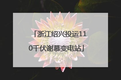 浙江绍兴投运110千伏谢慕变电站