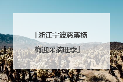 浙江宁波慈溪杨梅迎采摘旺季