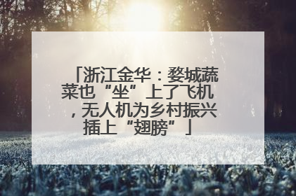浙江金华：婺城蔬菜也“坐”上了飞机，无人机为乡村振兴插上“翅膀”