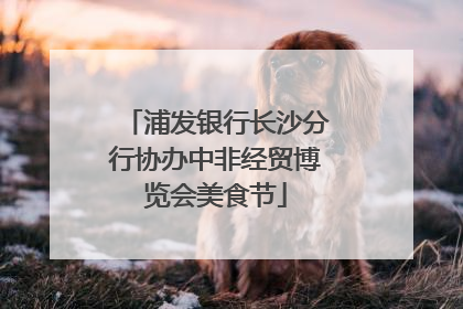 浦发银行长沙分行协办中非经贸博览会美食节