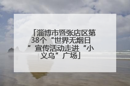淄博市暨张店区第38个“世界无烟日”宣传活动走进“小义乌”广场
