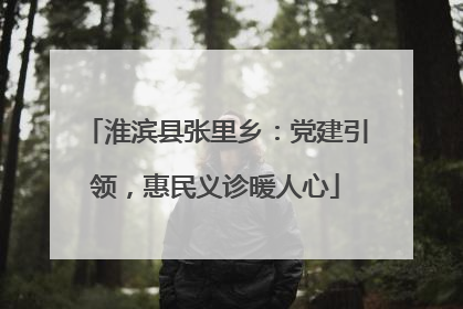 淮滨县张里乡：党建引领，惠民义诊暖人心