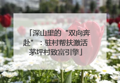 深山里的“双向奔赴”：驻村帮扶激活茅坪村致富引擎