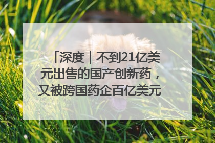 深度｜不到21亿美元出售的国产创新药，又被跨国药企百亿美元拿下，谁赚了？