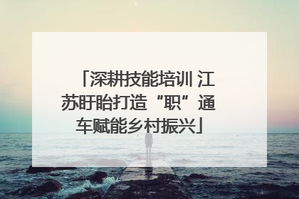 深耕技能培训 江苏盱眙打造“职”通车赋能乡村振兴