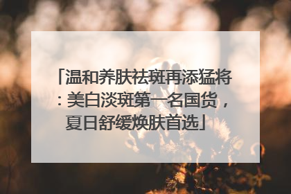 温和养肤祛斑再添猛将：美白淡斑第一名国货，夏日舒缓焕肤首选