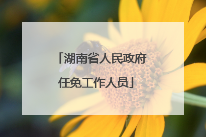 湖南省人民政府任免工作人员