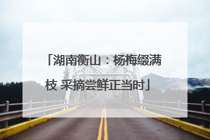 湖南衡山：杨梅缀满枝 采摘尝鲜正当时