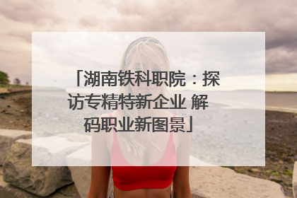 湖南铁科职院：探访专精特新企业 解码职业新图景