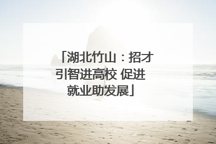 湖北竹山：招才引智进高校 促进就业助发展