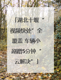 湖北十堰“视频快处”全覆盖 车辆小剐蹭5分钟“云解决”