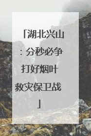 湖北兴山：分秒必争 打好烟叶救灾保卫战