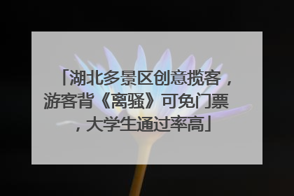 湖北多景区创意揽客，游客背《离骚》可免门票，大学生通过率高