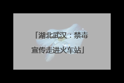 湖北武汉：禁毒宣传走进火车站