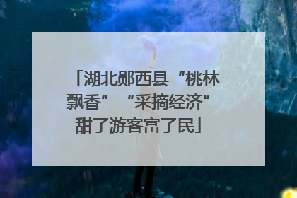 湖北郧西县“桃林飘香”“采摘经济”甜了游客富了民