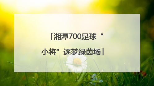 湘潭700足球“小将”逐梦绿茵场