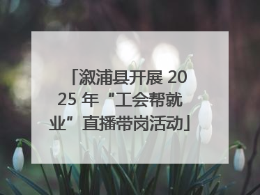 溆浦县开展 2025 年“工会帮就业”直播带岗活动