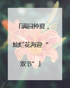 满园仲夏，灿烂花海迎“双节”