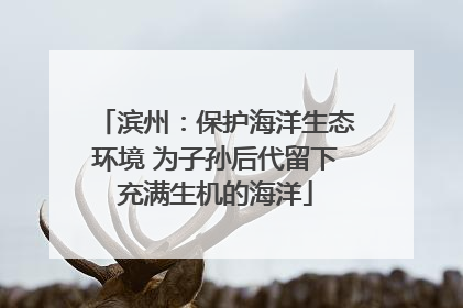滨州：保护海洋生态环境 为子孙后代留下充满生机的海洋