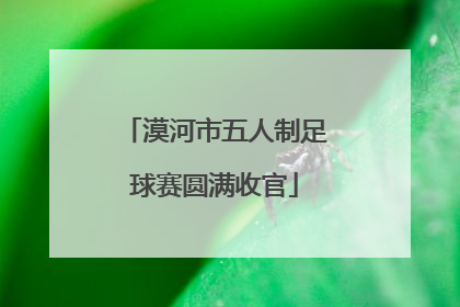 漠河市五人制足球赛圆满收官