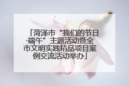 菏泽市“我们的节日·端午”主题活动暨全市文明实践精品项目案例交流活动举办