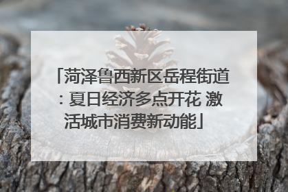 菏泽鲁西新区岳程街道：夏日经济多点开花 激活城市消费新动能