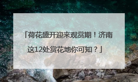 荷花盛开迎来观赏期！济南这12处赏花地你可知？